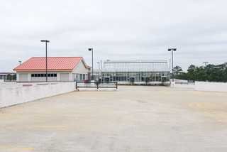 Illustration for article titled Emory Greenhouse